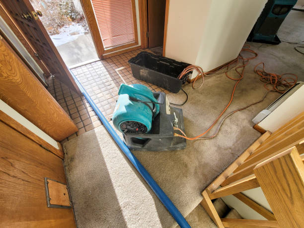 Best 24-hour water damage restoration  in Colquitt, GA