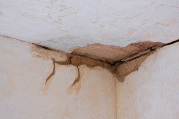  Colquitt, GA Water damage restoration Pros