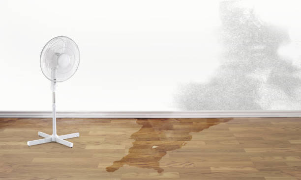 Best Flooded house restoration  in Colquitt, GA