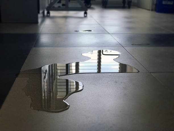Best Water damage restoration near me  in Colquitt, GA