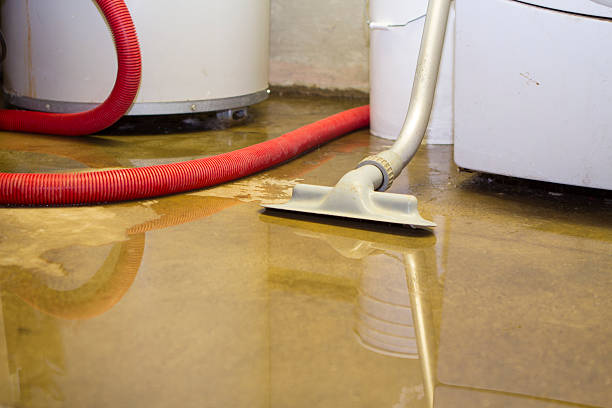 Reliable Colquitt, GA Water damage restoration Solutions