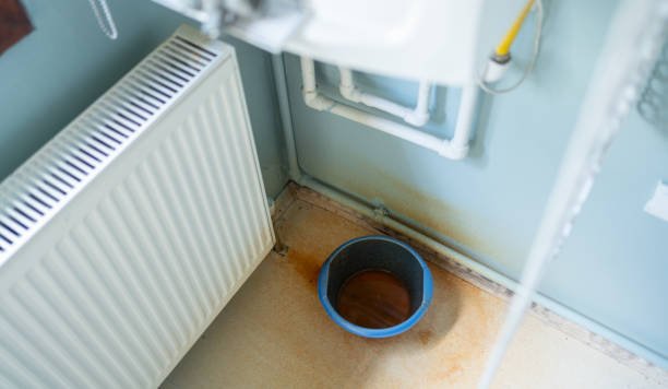 Best Basement water damage restoration  in Colquitt, GA